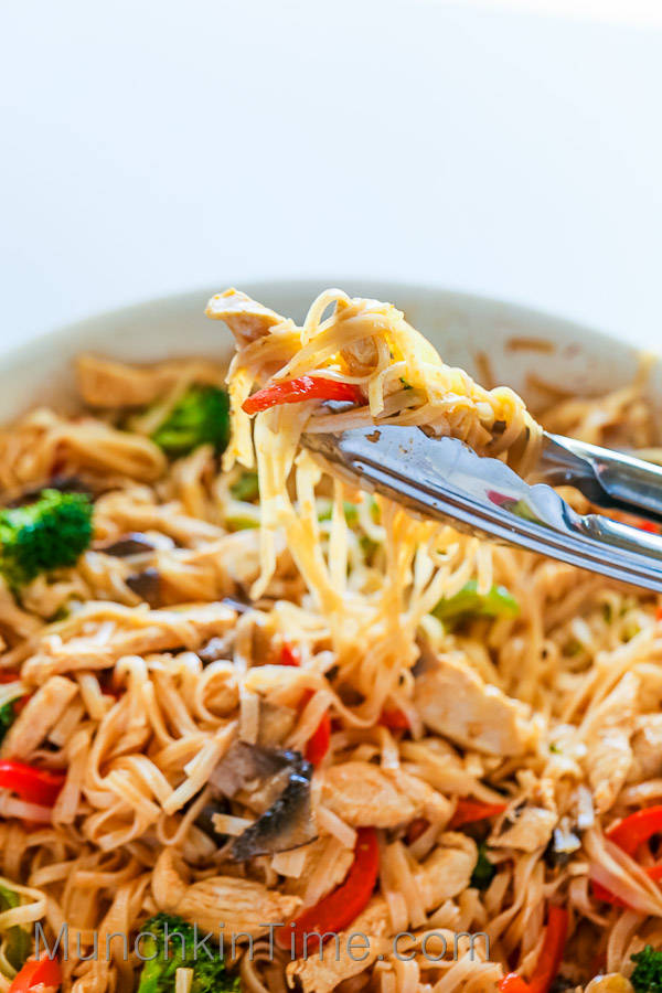 Chicken Stir Fry Recipes