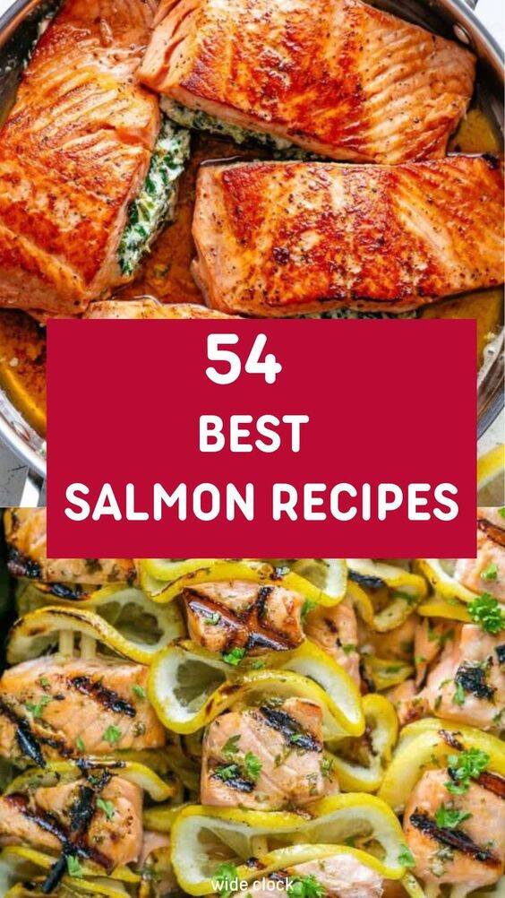 salmon recipes